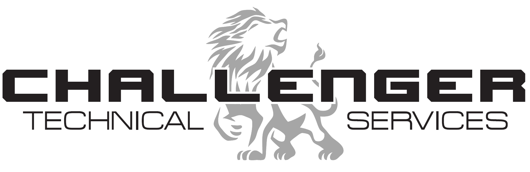 Challenger Technical Service Ltd.