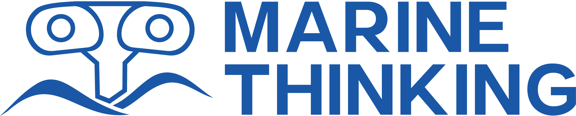 Marine Thinking